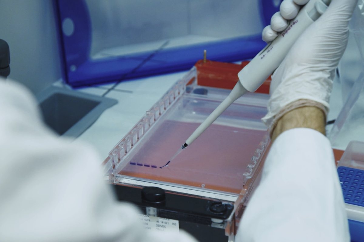 Video still: gloved hands pipetting samples into a plate at the bench